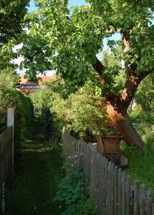 Mistweg in der Gartenstadt Hellerau (Dresden)